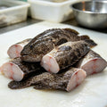 Fresh Whole and Filleted Grouper