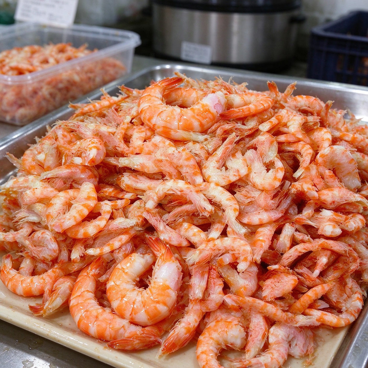 Wild Cooked King Prawns